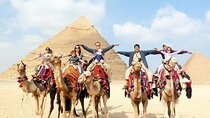 Pyramids of Giza and Great Sphinx Half Day Tour