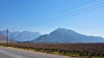 Private Tour : Ceres, Breede River Valley, Big Sky and Big 5 with Wine