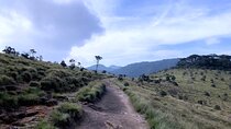 Day excursion to Horton Plains with scenic train ride from Nuwara Eliya