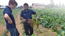 Agro Tour of Sri Lanka (6 Days)