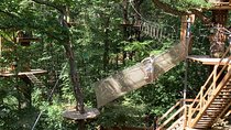 Tree Top Adventure in Forest of Meudon 