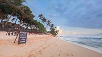 Southern Coast Highlights from Unawatuna