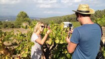 Wine tasting & E-bike Barcelona's coastline Small Group tour