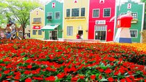 Holambra: Flowers & Windmill, The Little Piece Of Netherlands in Brazil
