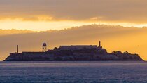 2-Day Hop-On Hop-Off Tour & Alcatraz