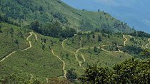 Guided Hike to The Devil's Staircase