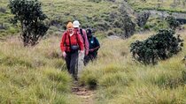 Horton Plains National Park from Nuwara Eliya