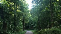 Forest Hike in Heidelberg