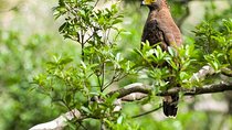 Bird watching and Wildlife Tour (6 Days)