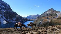 7-Day Druk Path Trek in Bhutan