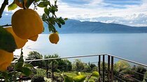 day Trip from Verona to Lake Garda