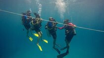 Open Water Diver - Bávaro