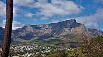 Private Tour : The Great Gatsby Food Tour Cape Town