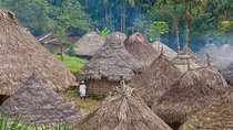 Semiprivate Lost City Tour & Native Village with Private Transportation (5 Days)