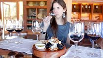 Premium Wine Tasting in Santiago De Chile