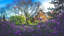 The romantic side of Barcelona (Fall in love again) - Private tour with a local