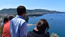 Pompeii & Amalfi Coast Tour from Naples or Sorrento 