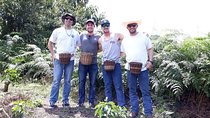 Coffee Lovers Express Coffee Tour