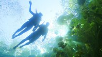 ECHANTING 2 Days excursion to 2 different ecoparks in RIVERA MAYA with transport