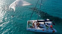 Tour Catamaran Isla Mujeres With Open Bar