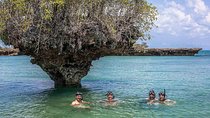 Private Full-day Safari Blue Trip with Lunch buffet