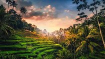 Full-Day Ubud Private Tour