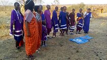 Private 4 Days Mikumi NP Inside the Park and Nyerere NP Tour