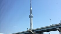 6-Hour-Tour Tokyo Highlights