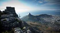 Private Half Day Table Mountain and City Tour