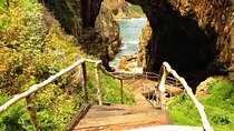 5 Day Winelands and Garden Route Discovery