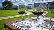 Full day Cape Winelands ( Stellenbosch and Franschoek )
