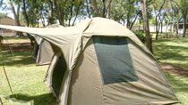 4 days Serengeti, Ngorongoro and Tarangire camping Tour