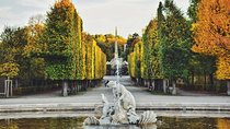 A day in the life of Vienna - Private tour with a local