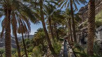 From Muscat: Excursion to Misfat Al Abriyeen and the Jabal Schams summit