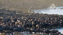 3 days Masai Mara National Reserve Shared Safari