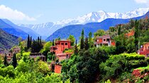 Marrakech: Atlas Mountains and 4 Valleys Tour