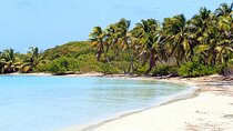 Explore Contoy Island