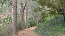 Hidden Nature Walks in the City Private Tour