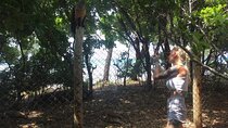 Prison Island, Nakupenda Beach and Stone Town Private Tour | Seafood buffet