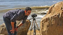 Private Instagrammable San Diego Tour – Scenic and Coastal 