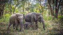 Bangalore to Mysore & Nagarhole National Park