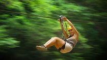 Combo Zipline and RZR Tour 