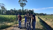 Private Arenal Birdwatching Experience
