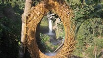 Ubud Day Tour - Top Things to do in Ubud + Local Ubud Guide 
