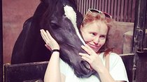 From Sharm El Shiekh: Horse Riding experience 