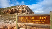 Explore Cape Point National Park with a Postcolonial Historian w/ Tix add-on