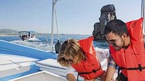 Private Cabo San Lucas City Tour