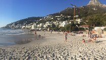 Beach Picnic with a Changemaker 