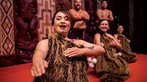 Bay of Islands Heritage Experience from Auckland incl. Waitangi & Russell
