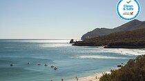 Arrabida Full Day Private Tour with Wine Tasting 